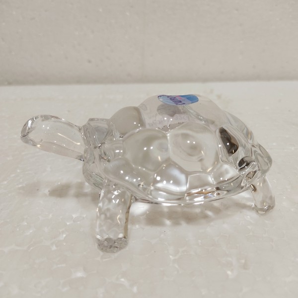crystal-tortoise8335-2