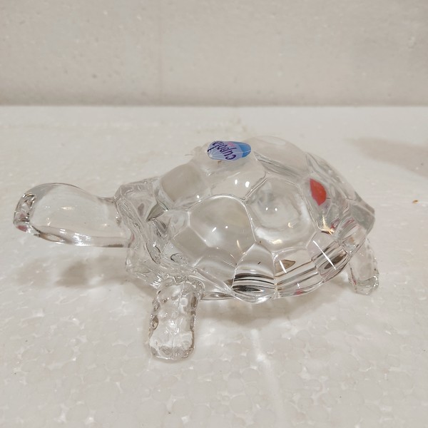crystal-tortoise8336-2